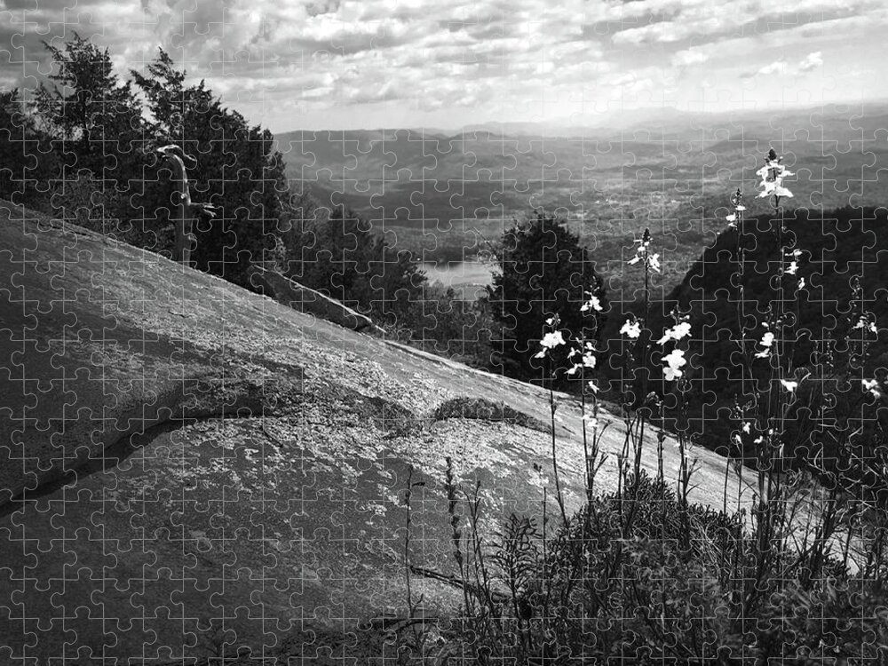 Kelly Hazel Jigsaw Puzzle featuring the photograph Flowers at Table Rock Overlook in Black and White THREE by Kelly Hazel