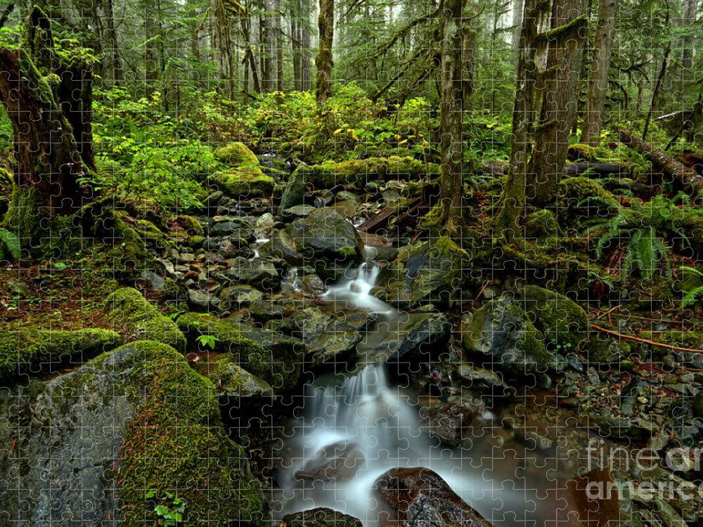 Mt Baker Jigsaw Puzzle featuring the photograph Flowing Through The Pacific Northwest by Adam Jewell