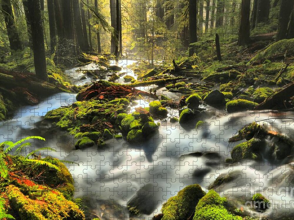Sol Duc Jigsaw Puzzle featuring the photograph Flowing To The Light by Adam Jewell