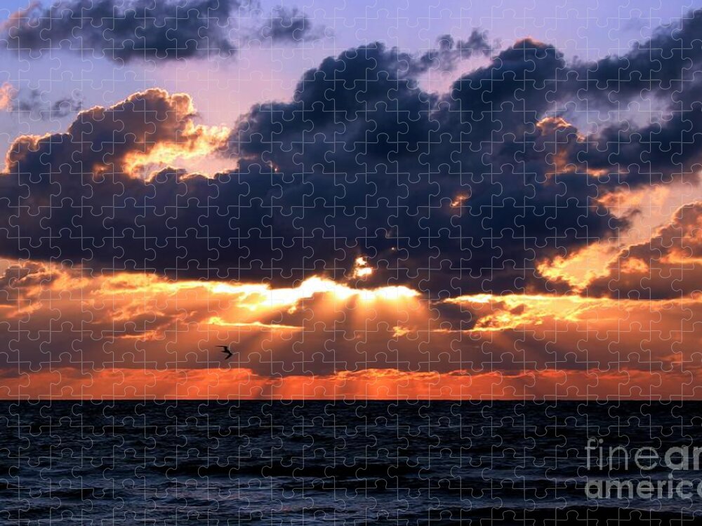 Photo For Sale Jigsaw Puzzle featuring the photograph Flying into the Sun by Robert Wilder Jr