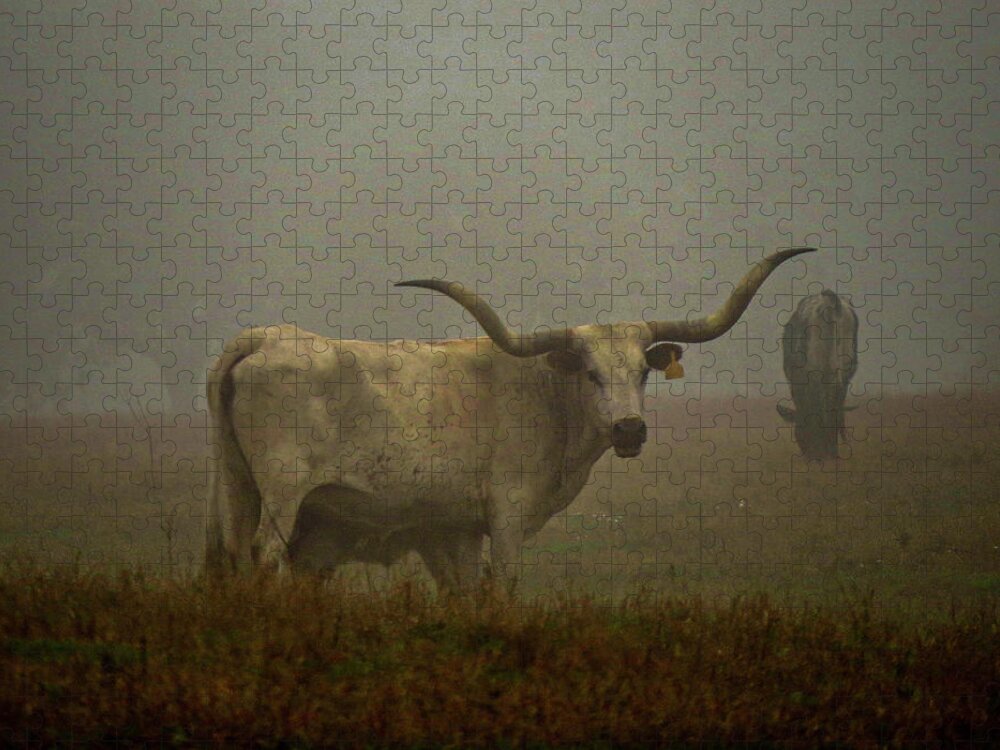 Fog Jigsaw Puzzle featuring the photograph Foggy Morning on the Ranch by Jerry Connally