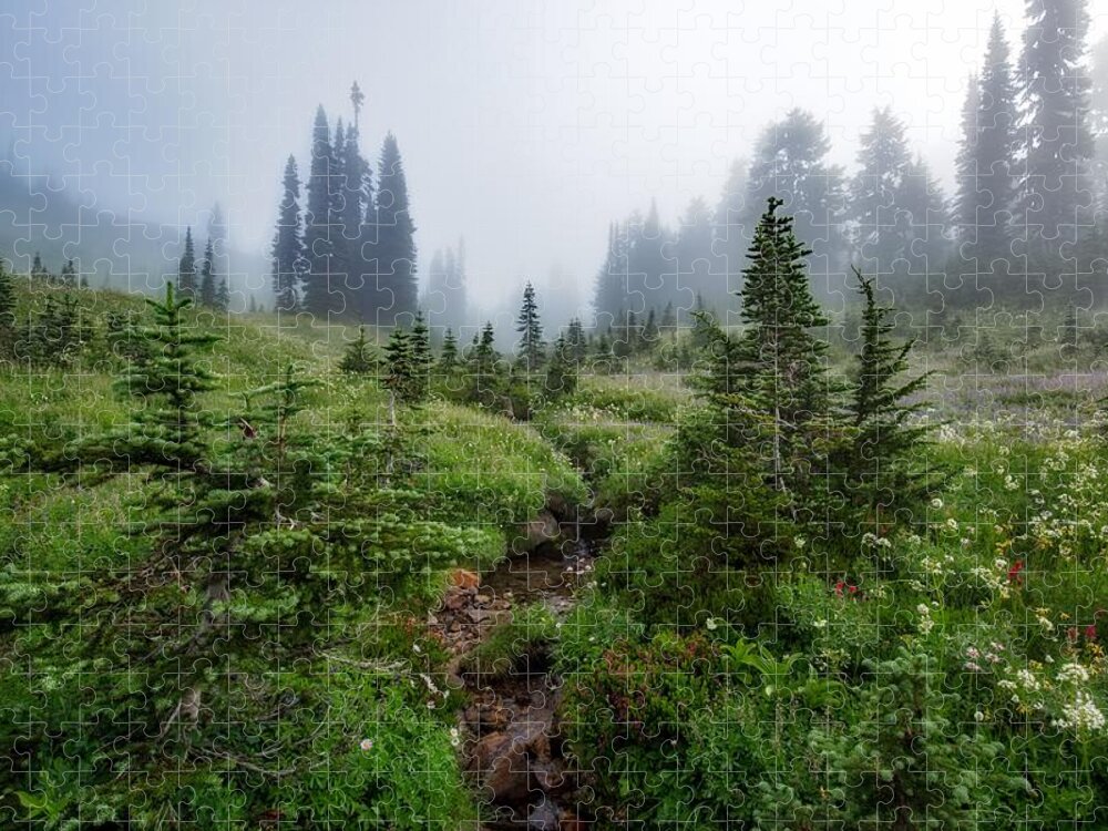 Foggy Morning On The Trail Jigsaw Puzzle featuring the photograph Foggy morning on the trail by Lynn Hopwood