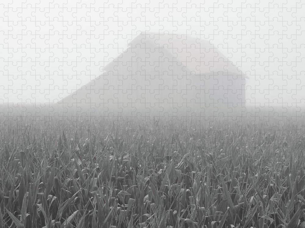 Foggy Summer Barn Jigsaw Puzzle featuring the photograph Foggy Summer Barn by Dylan Punke