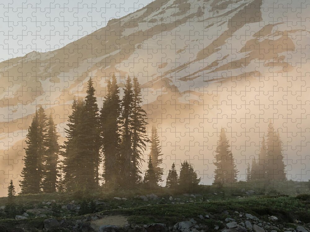 Adventure Jigsaw Puzzle featuring the photograph Foggy Sunset Over Pines by Kelly VanDellen
