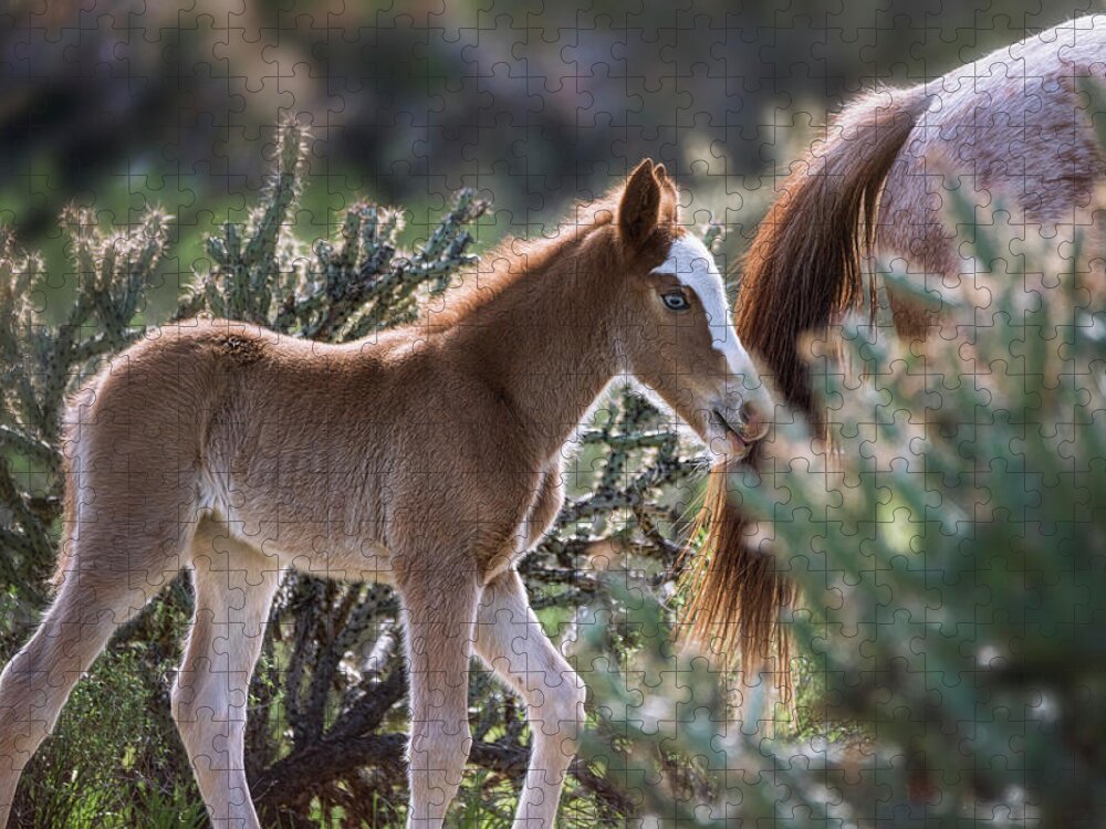 Wild Horses Jigsaw Puzzle featuring the photograph Following in Mama's Footsteps by Saija Lehtonen