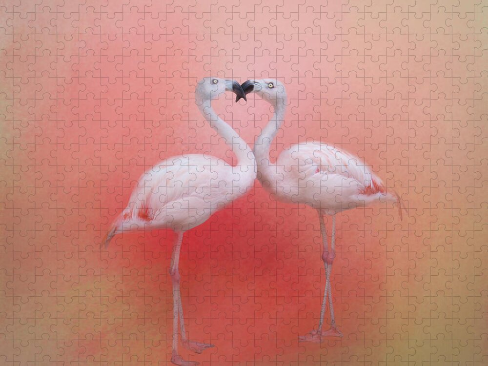 Flamingos Jigsaw Puzzle featuring the photograph Fond Flamingos by TK Goforth
