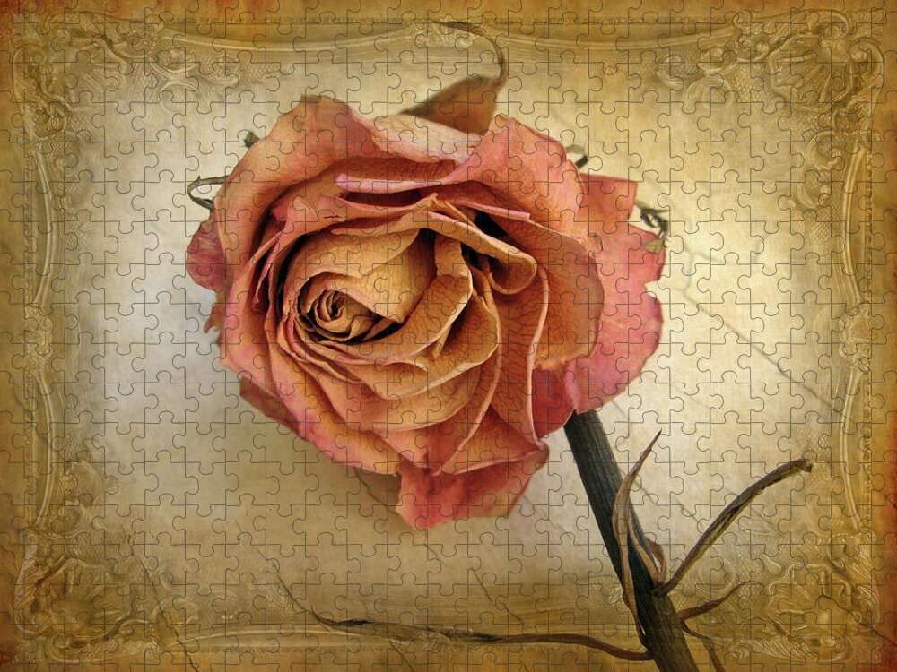 Flower Jigsaw Puzzle featuring the photograph For You by Jessica Jenney