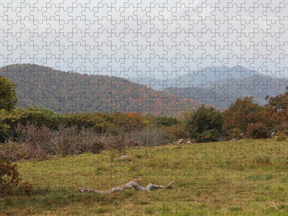  Top Of Mountain Jigsaw Puzzle featuring the photograph Forest Highlands by Allen Nice-Webb