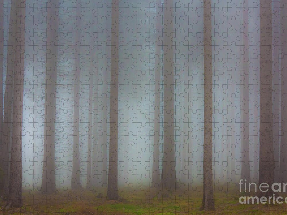 Forest Jigsaw Puzzle featuring the photograph Forest in the fog by Michal Boubin