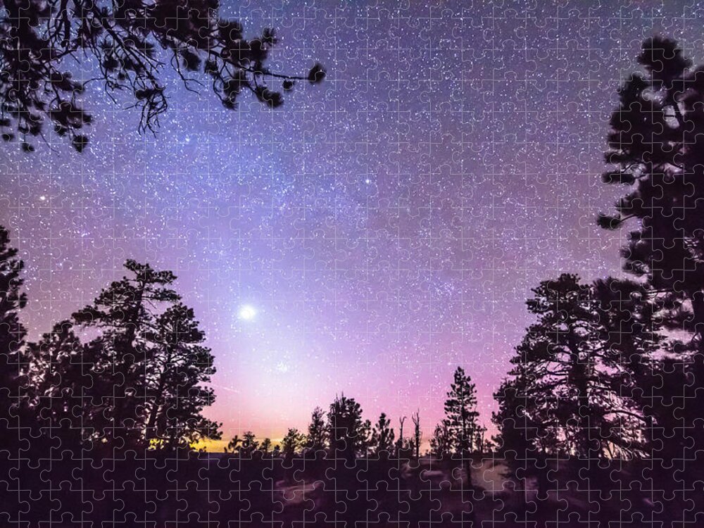 Sky Jigsaw Puzzle featuring the photograph Forest Night Star Delight by James BO Insogna