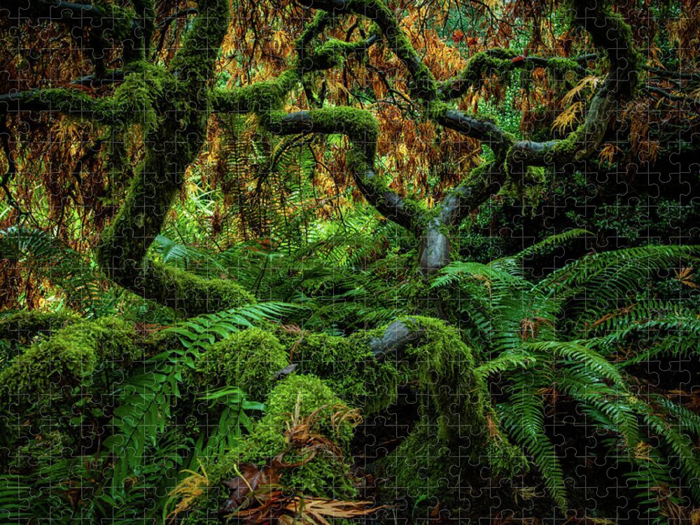 5dsr Jigsaw Puzzle featuring the photograph Forever Green by Edgars Erglis