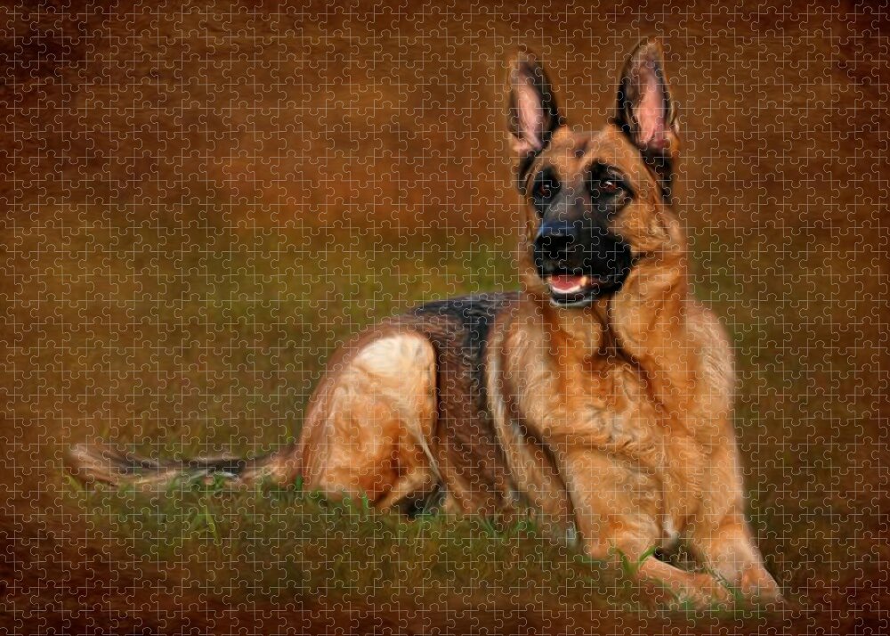 https://render.fineartamerica.com/images/rendered/default/flat/puzzle/images/artworkimages/medium/1/forrest-the-german-shepherd-angie-mckenzie.jpg?&targetx=-49&targety=0&imagewidth=1098&imageheight=714&modelwidth=1000&modelheight=714&backgroundcolor=51270A&orientation=0&producttype=puzzle-20-28&brightness=130&v=6