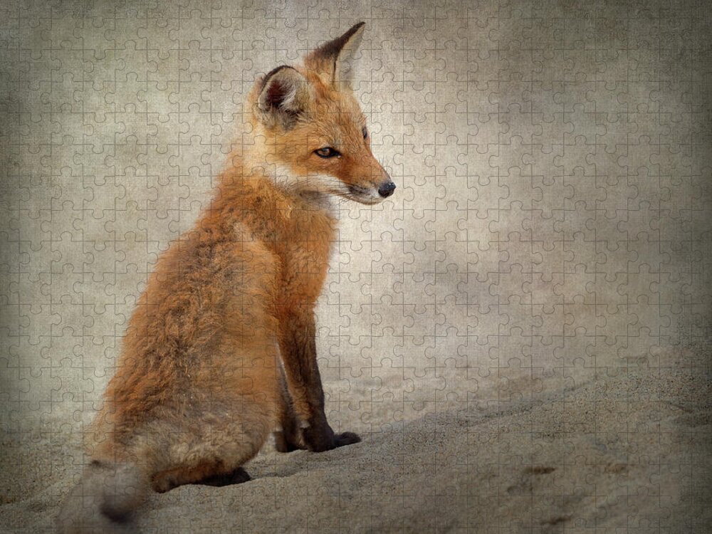Fox Jigsaw Puzzle featuring the photograph Fox Kit 2018 by Bill Wakeley