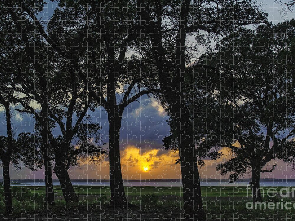 Fort Fisher Jigsaw Puzzle featuring the photograph Framed by DJA Images
