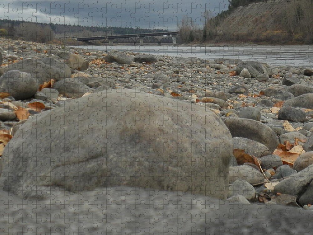 Fraser River Jigsaw Puzzle featuring the photograph Fraser River by Vivian Martin