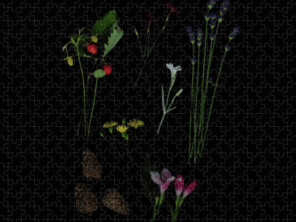 Dark Jigsaw Puzzle featuring the photograph Free Pleasures by Randi Grace Nilsberg