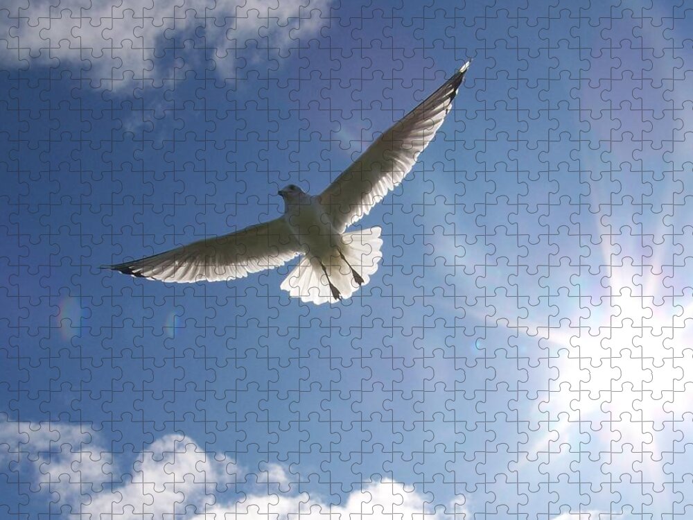 Gull Jigsaw Puzzle featuring the photograph Freedom - Photograph by Jackie Mueller-Jones