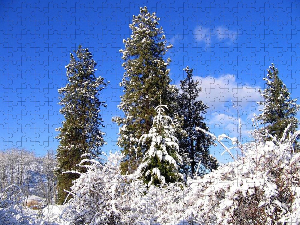 #freshwintersolitude Jigsaw Puzzle featuring the photograph Fresh Winter Solitude by Will Borden
