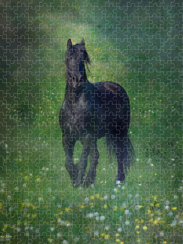 Horses Canvas Prints Jigsaw Puzzle featuring the photograph Friesian Mist by Fran J Scott