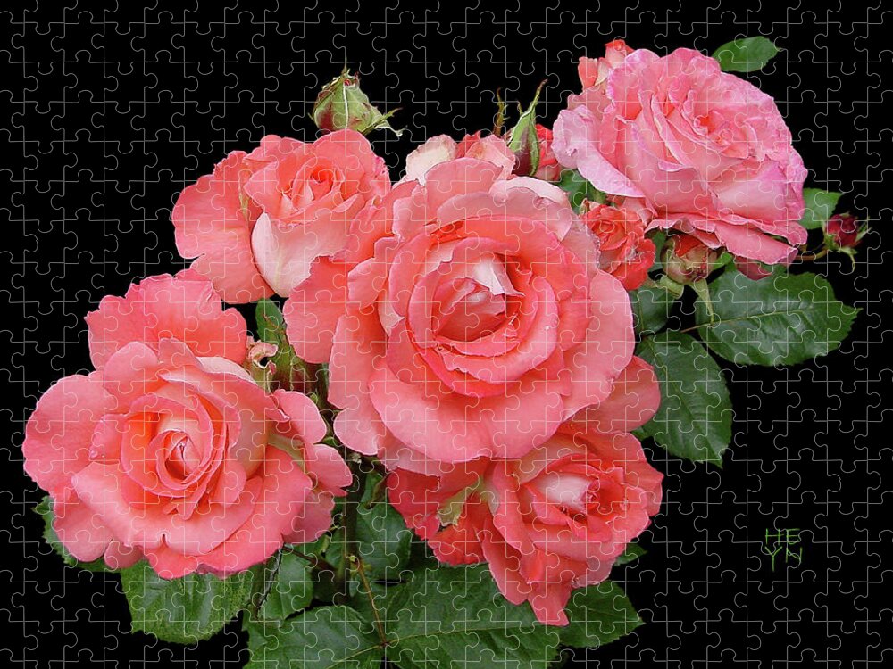 Cutout Jigsaw Puzzle featuring the photograph Frilly Peach Rose Bouquet Cutout by Shirley Heyn