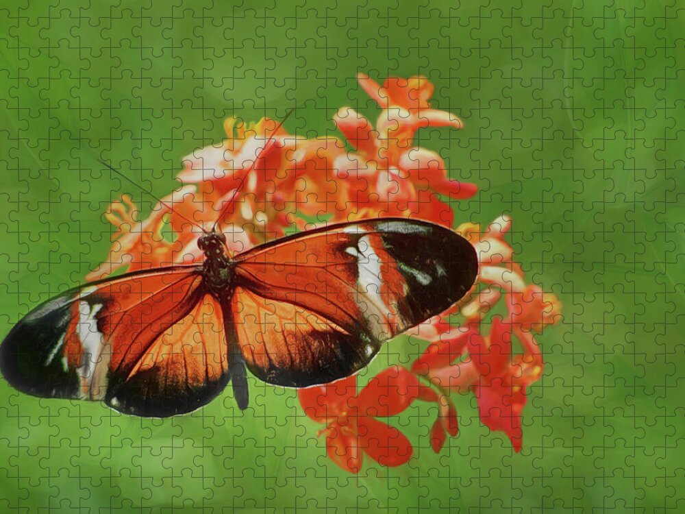 Longwing Jigsaw Puzzle featuring the photograph From Above - Butterfly by Nikolyn McDonald
