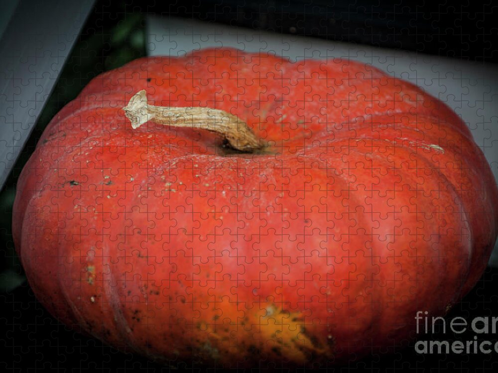 Pumpkin Jigsaw Puzzle featuring the photograph Front Porch Orange Pumpkin by Dale Powell