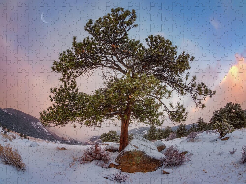 Trees Jigsaw Puzzle featuring the photograph Frosted Mountain Moon by Darren White