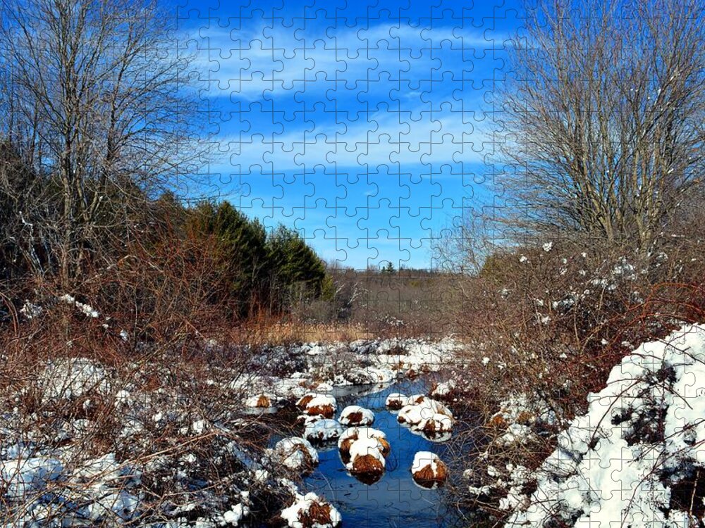 Snow Jigsaw Puzzle featuring the photograph Frosted River Grass by Dani McEvoy