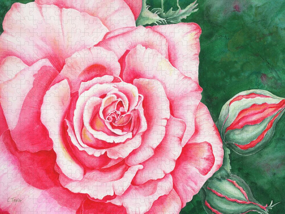 Rose Jigsaw Puzzle featuring the painting Full Bloom by Lori Taylor