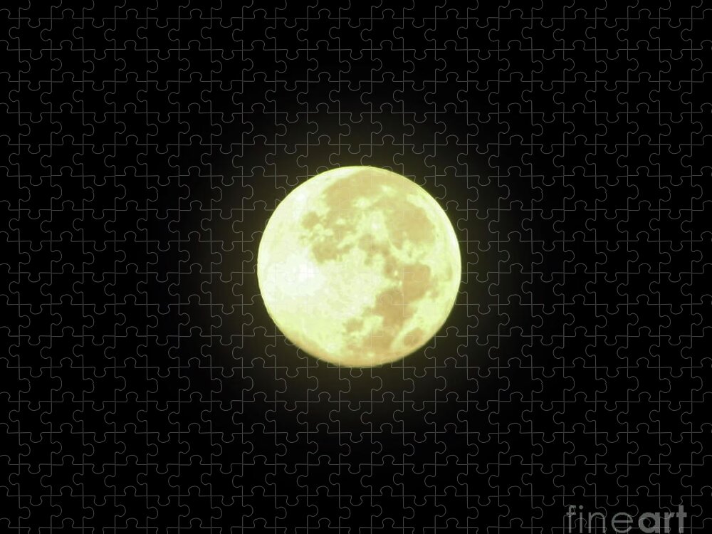 Moon Jigsaw Puzzle featuring the photograph Full Moon August 2014 by D Hackett