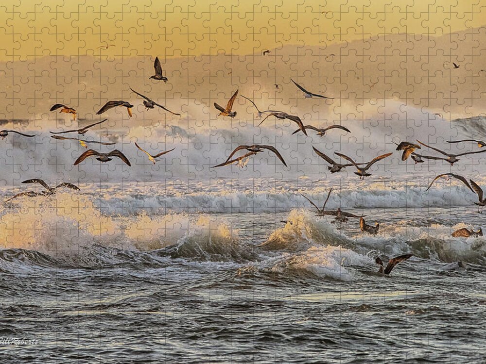 Gulls Jigsaw Puzzle featuring the photograph Galloping Gulls by Bill Roberts
