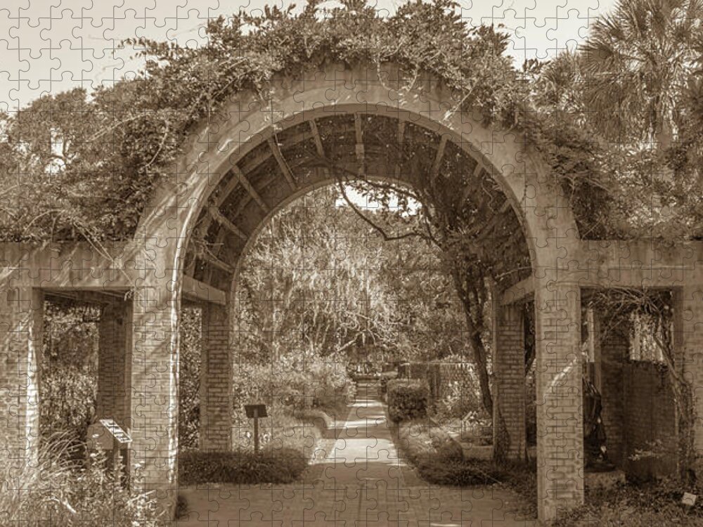 2017 Jigsaw Puzzle featuring the photograph Garden Arch by Darrell Foster