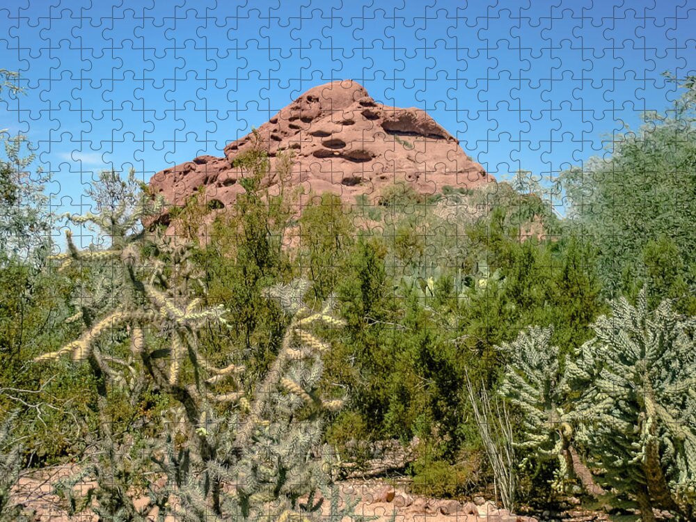 Garden Jigsaw Puzzle featuring the photograph Garden Trail by Darrell Foster