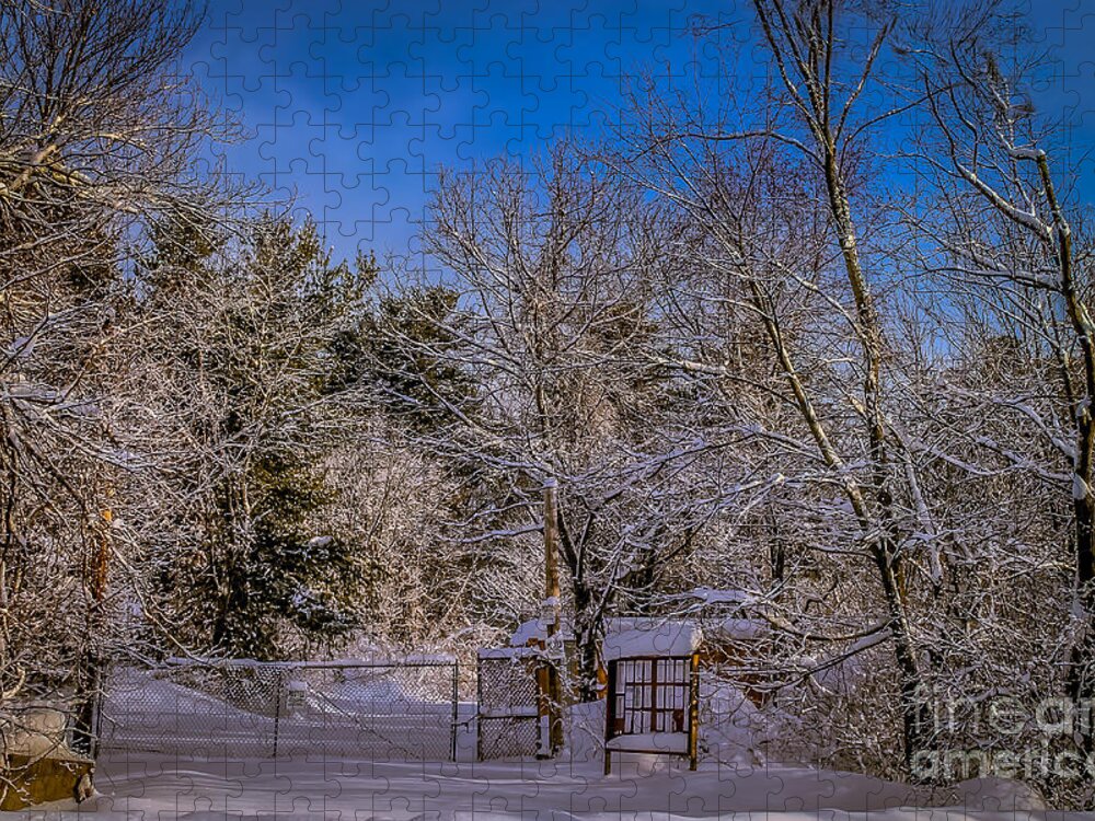 Winter Jigsaw Puzzle featuring the photograph Gates closed by Claudia M Photography