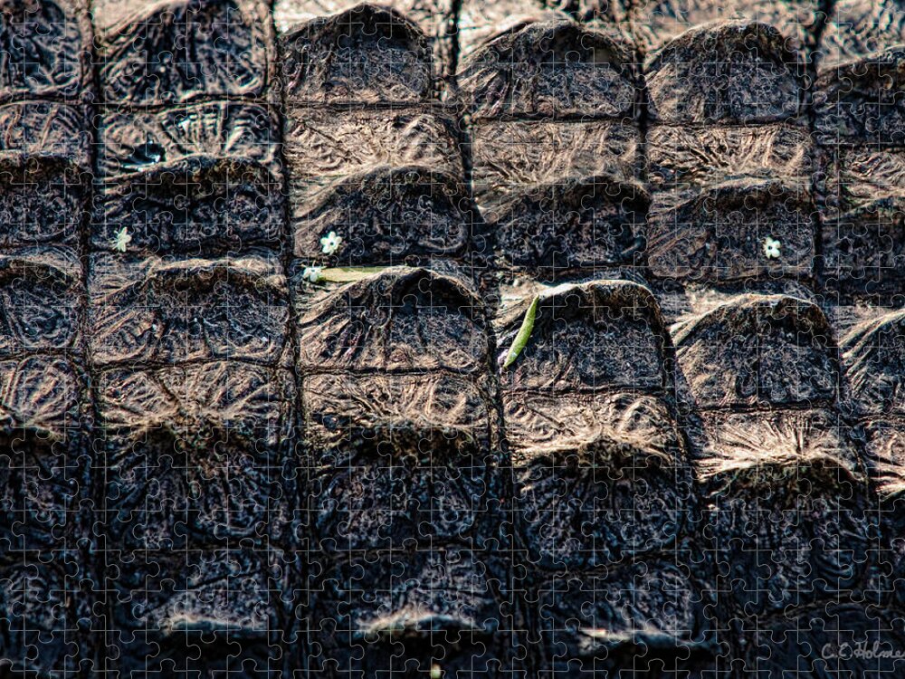 Alligator Jigsaw Puzzle featuring the photograph Gator Armor by Christopher Holmes