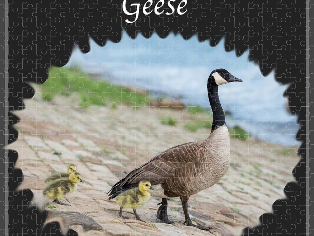Geese Jigsaw Puzzle featuring the photograph Geese in the Clouds by Holden The Moment
