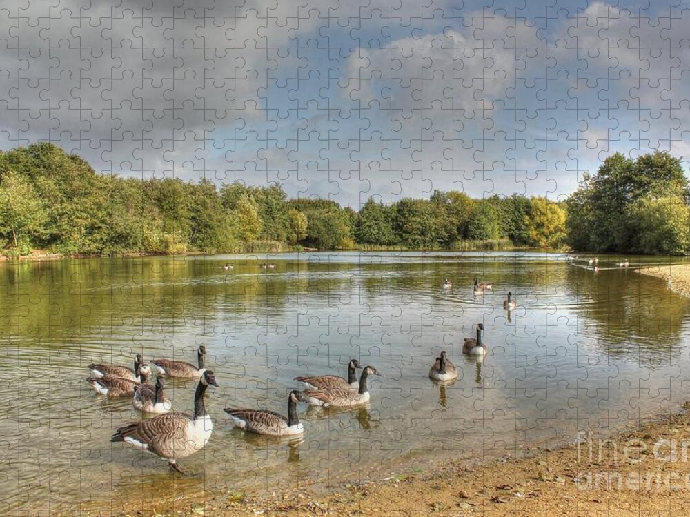 Texture Jigsaw Puzzle featuring the photograph Geese on the Lake HDR by Vicki Spindler