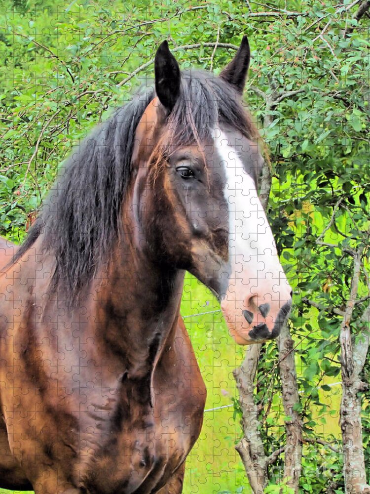Shire Horse Jigsaw Puzzle featuring the photograph Gentle Soul by Elizabeth Dow