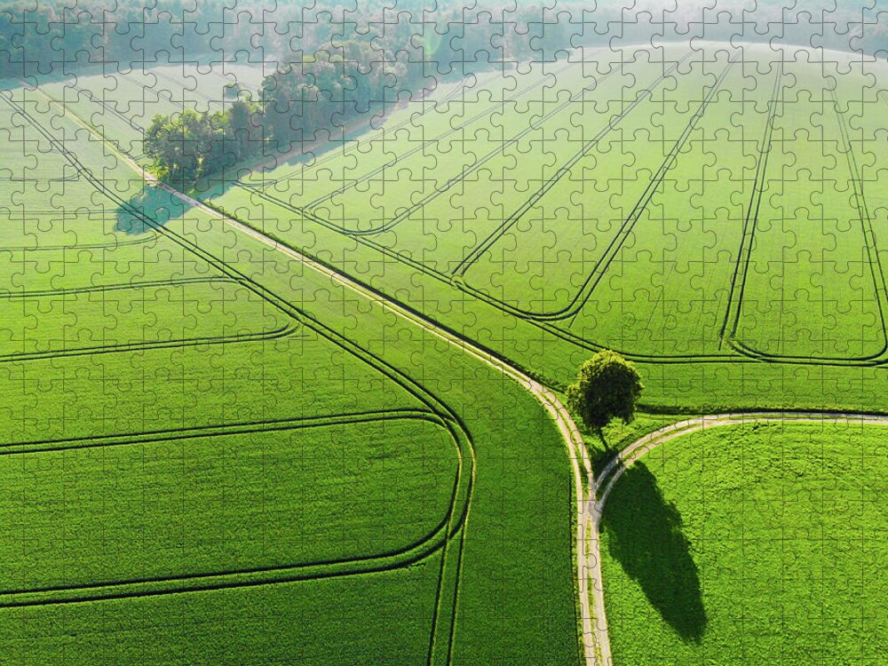 Green Landscape Jigsaw Puzzle featuring the photograph Geometric Landscape 04 Green fields aerial view by Matthias Hauser