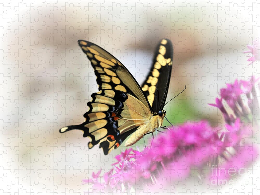 Giant Swallowtail Jigsaw Puzzle featuring the photograph Giant Swallowtail by Diann Fisher