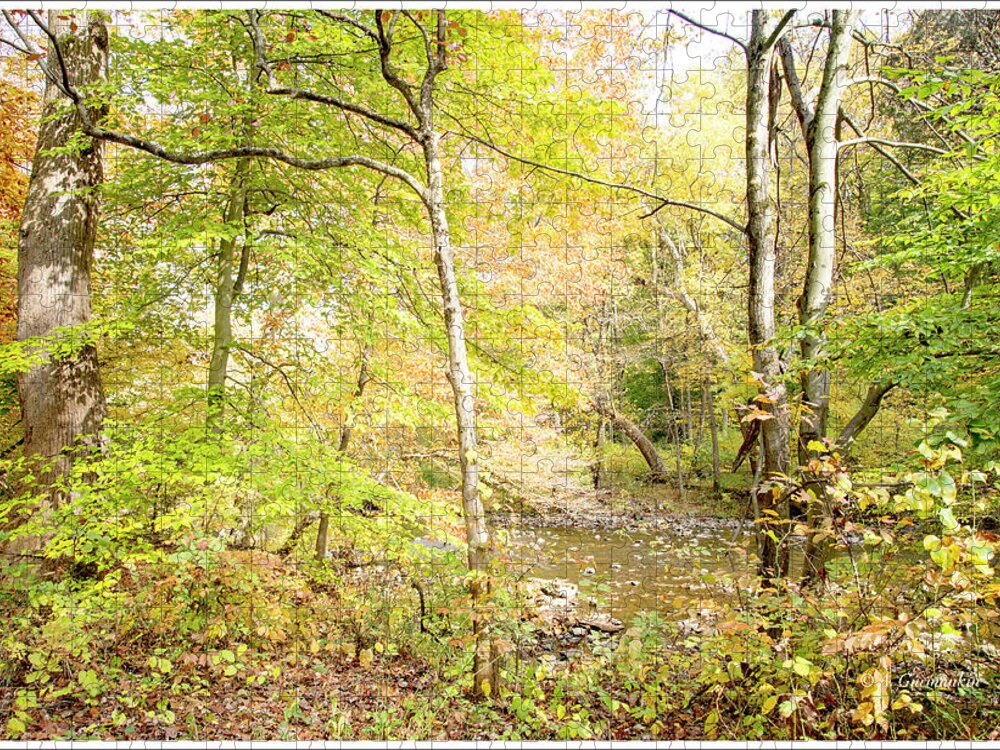 Stream Jigsaw Puzzle featuring the photograph Glimpse of a Stream in Autumn by A Macarthur Gurmankin