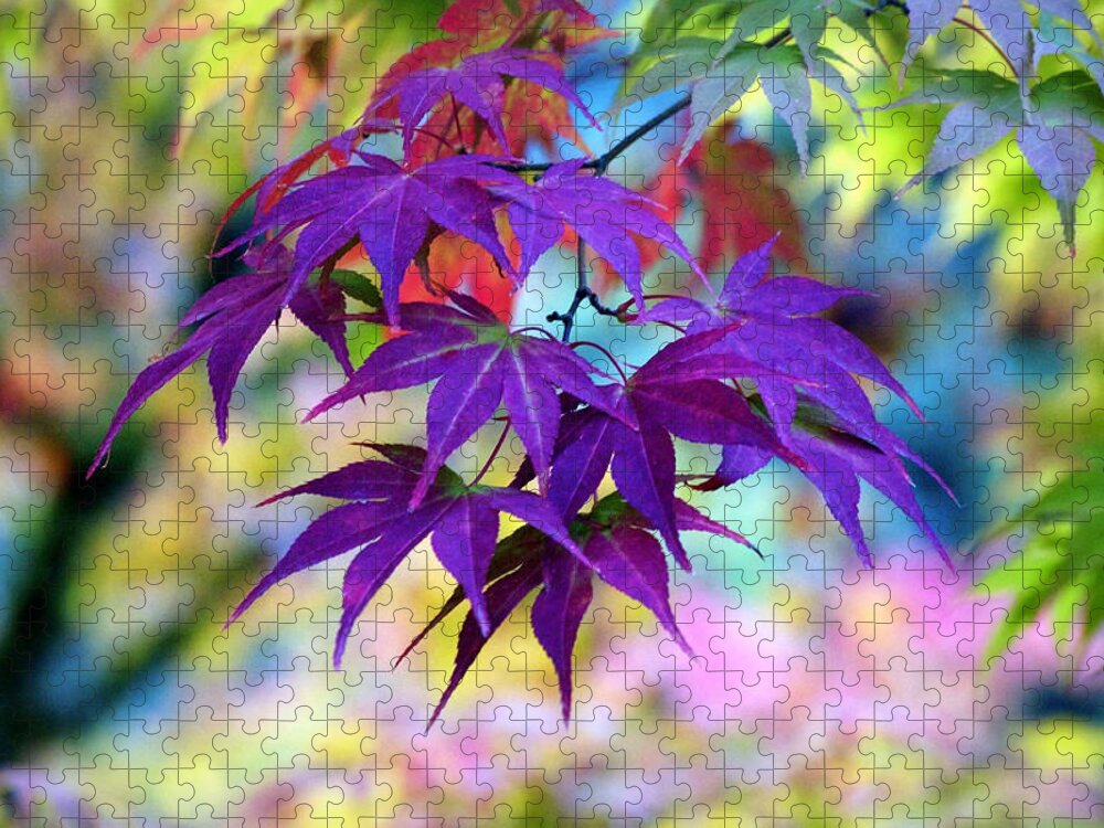 Garden Jigsaw Puzzle featuring the photograph Glorious Maple by Emerita Wheeling