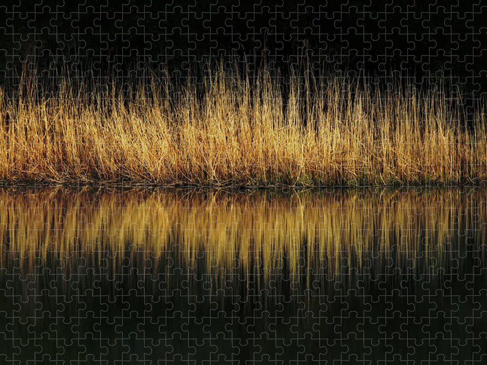Holmdel Park Jigsaw Puzzle featuring the photograph Glow And Reflections At Lakes Edge by Gary Slawsky