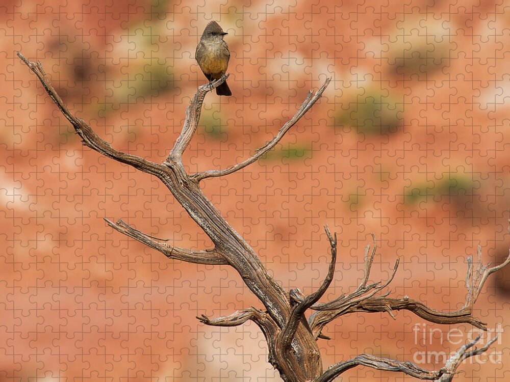 Flycatcher Jigsaw Puzzle featuring the photograph Gnarled Grandeur by Jim Garrison