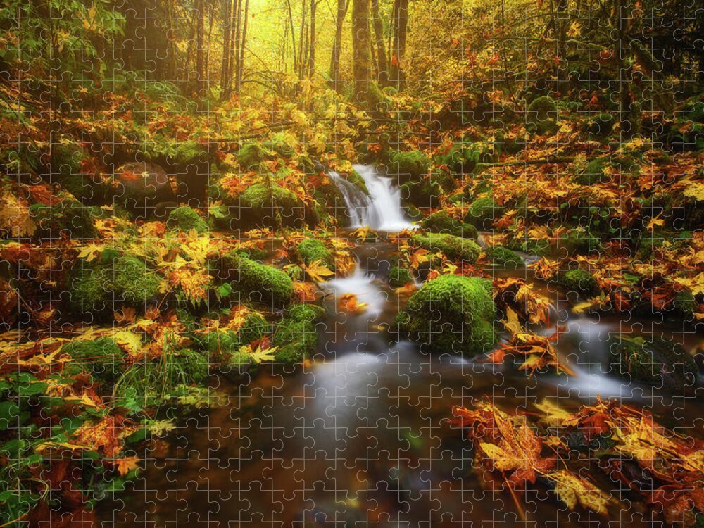 Fall Jigsaw Puzzle featuring the photograph Golden Creek Cascade by Darren White