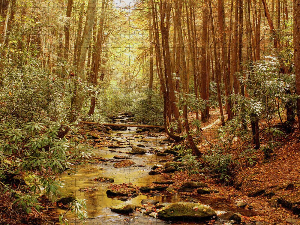 Appalachian Trail Jigsaw Puzzle featuring the photograph Golden Creek by Lorraine Baum
