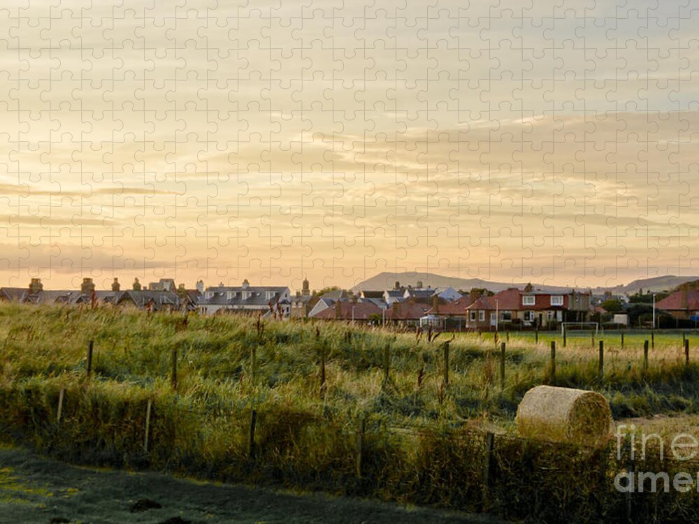 Countryside Landscape Jigsaw Puzzle featuring the photograph Golden Evening. by Elena Perelman