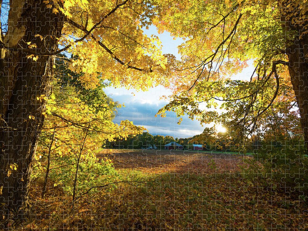 Field Jigsaw Puzzle featuring the photograph Golden Fields by Robert McKay Jones