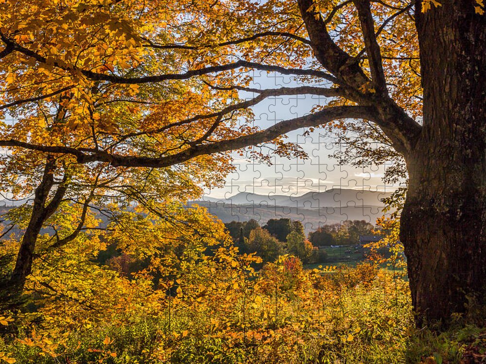 Fall Foliage Jigsaw Puzzle featuring the photograph Vermont Framed in Gold by Tim Kirchoff