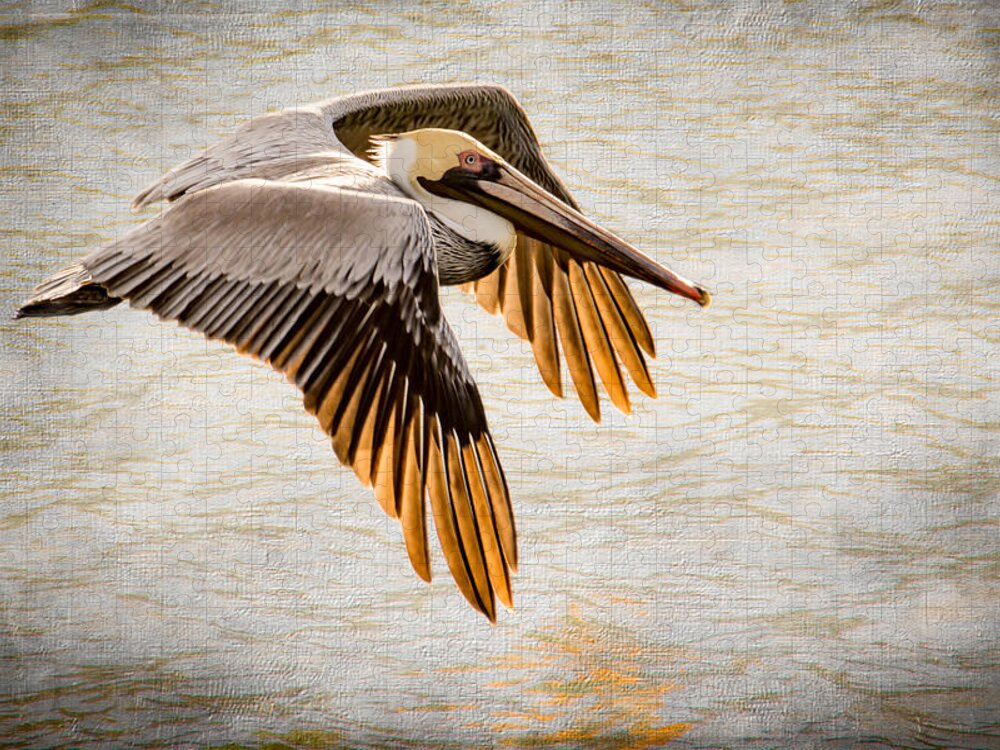 Pelican Jigsaw Puzzle featuring the photograph Golden Tips by Debra Martz